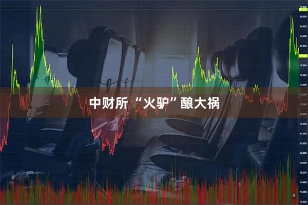 中财所 “火驴”酿大祸