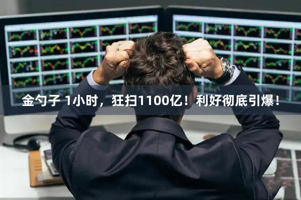 金勺子 1小时，狂扫1100亿！利好彻底引爆！