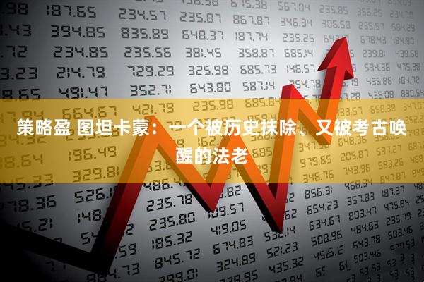 策略盈 图坦卡蒙：一个被历史抹除、又被考古唤醒的法老