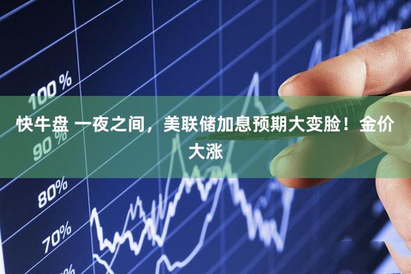 快牛盘 一夜之间，美联储加息预期大变脸！金价大涨
