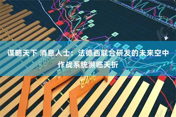 谋略天下 消息人士：法德西联合研发的未来空中作战系统濒临夭折