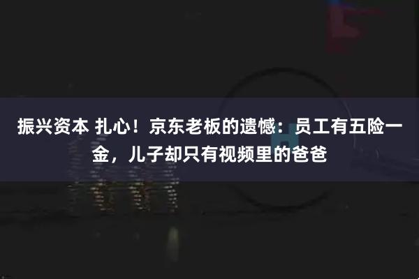 振兴资本 扎心！京东老板的遗憾：员工有五险一金，儿子却只有视频里的爸爸