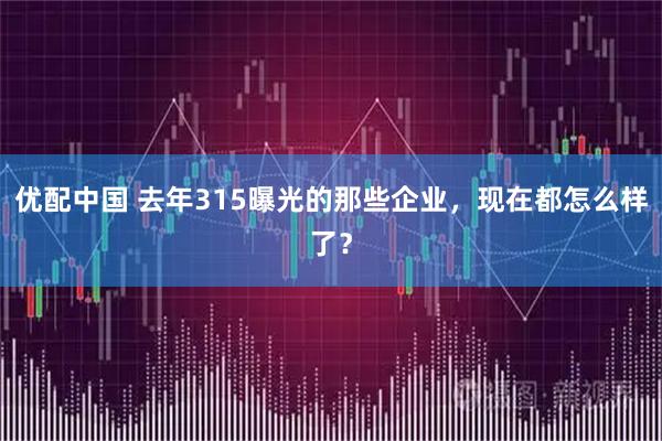 优配中国 去年315曝光的那些企业，现在都怎么样了？