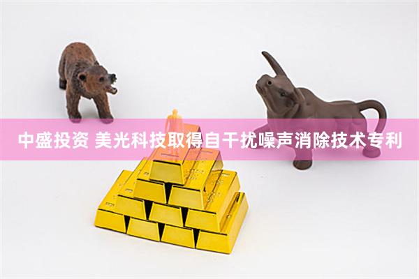 中盛投资 美光科技取得自干扰噪声消除技术专利