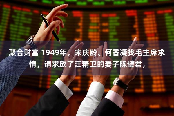 聚合财富 1949年，宋庆龄、何香凝找毛主席求情，请求放了汪精卫的妻子陈璧君，