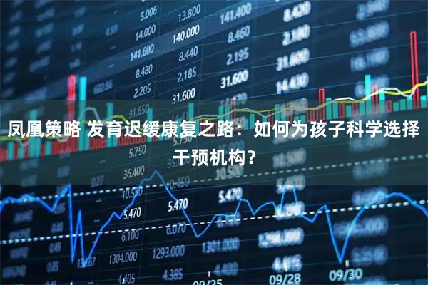 凤凰策略 发育迟缓康复之路：如何为孩子科学选择干预机构？