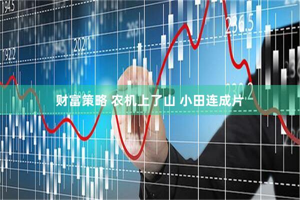 财富策略 农机上了山 小田连成片