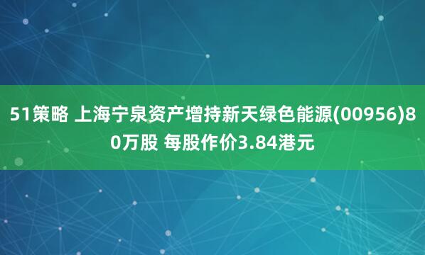 51策略 上海宁泉资产增持新天绿色能源(00956)80万股 每股作价3.84港元