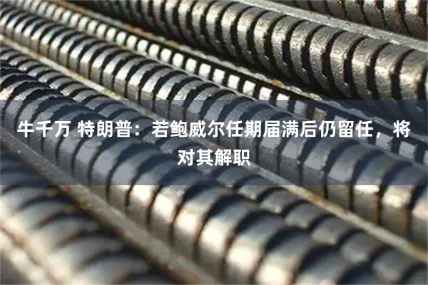牛千万 特朗普：若鲍威尔任期届满后仍留任，将对其解职