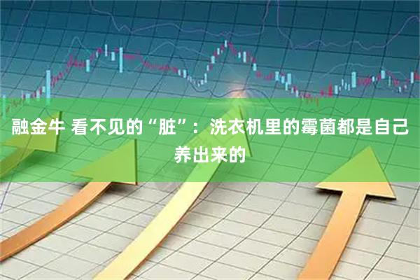 融金牛 看不见的“脏”：洗衣机里的霉菌都是自己养出来的