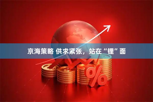 京海策略 供求紧张，站在“锂”面