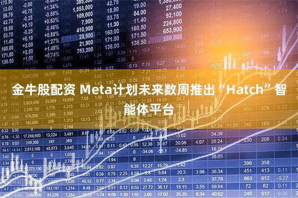 金牛股配资 Meta计划未来数周推出“Hatch”智能体平台